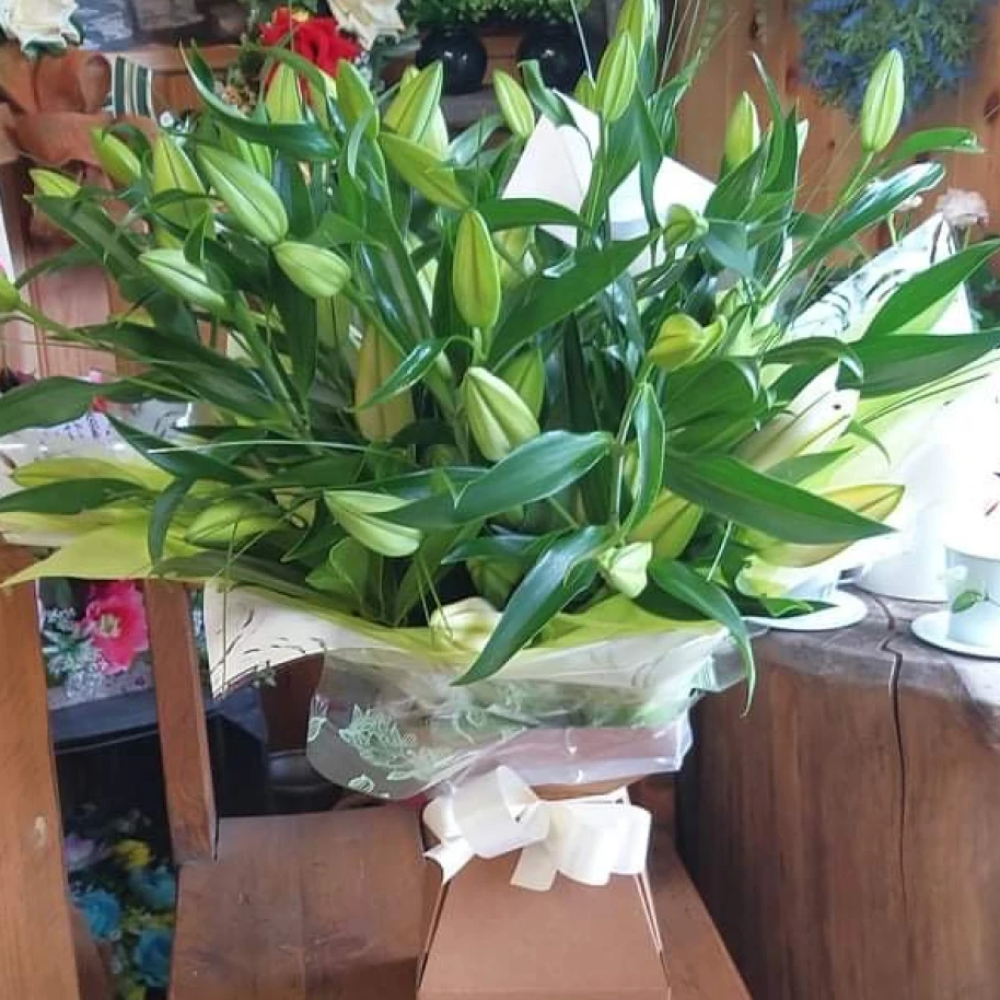 Luscious lilies